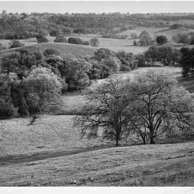 Shallow Valley