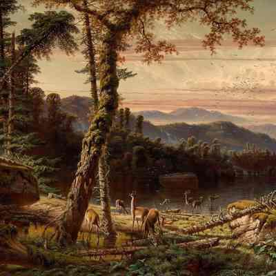 Indians Hunting Deer
