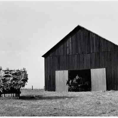 Air-cured tabacco barn, Lexington, Kentucky