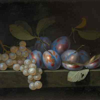 Plums and Grapes on a Stone Ledge