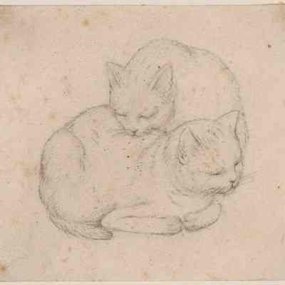 Two Cats Sleeping