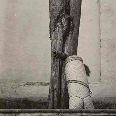 Harvest Basket and Tree Trunk: "Tree and Petate"