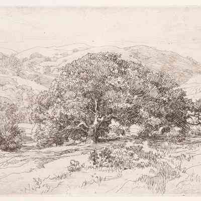 Foothill Oaks