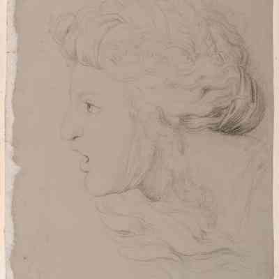 Head of a Woman (Profile)
