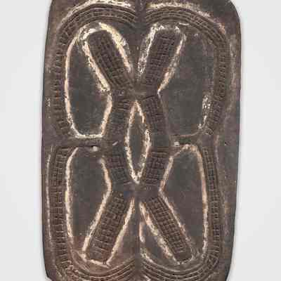 Shield