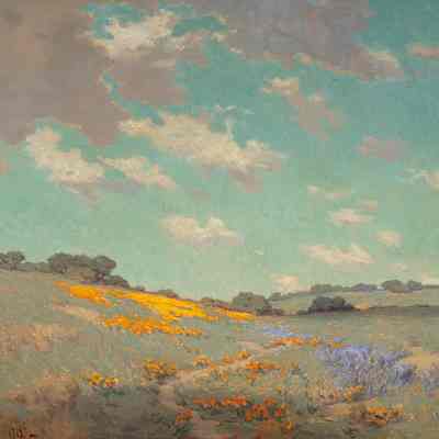 Patch of Poppies