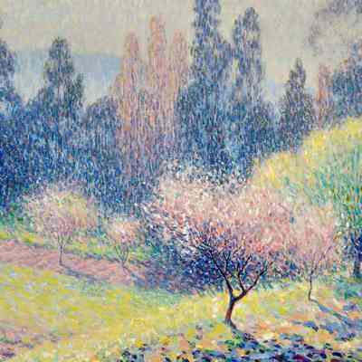 Tree in Blossom