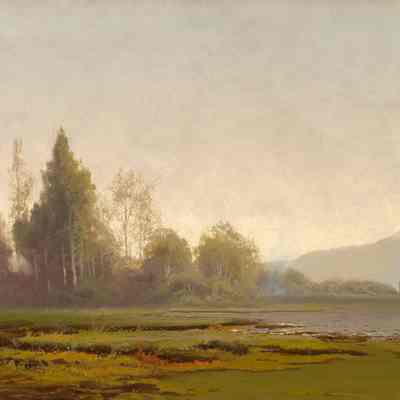 Foggy Morning Near San Rafael
