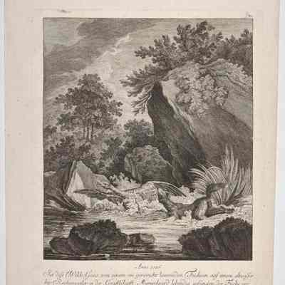 Untitled (Hunting Dog Attacking a Duck)