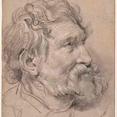 Head of a Bearded Man