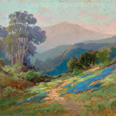 Mt. Tamalpais