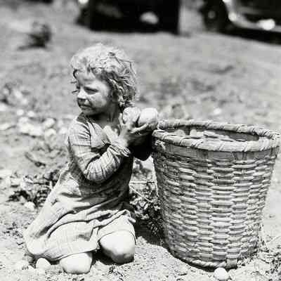 Child Sorting Potatoes