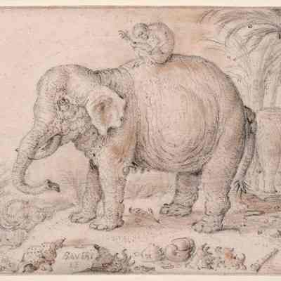 Elephants and Monkey