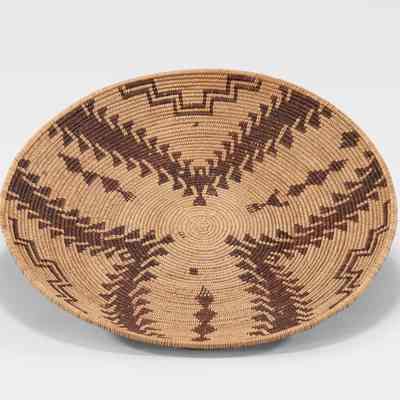 Coiled Tray