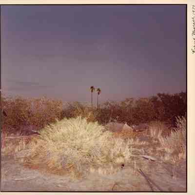 Untitled, from "New California Views"