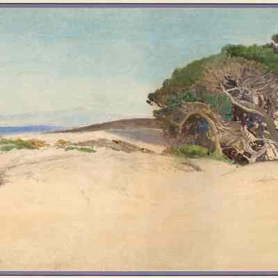 Untitled (Carmel Sand Dunes)
