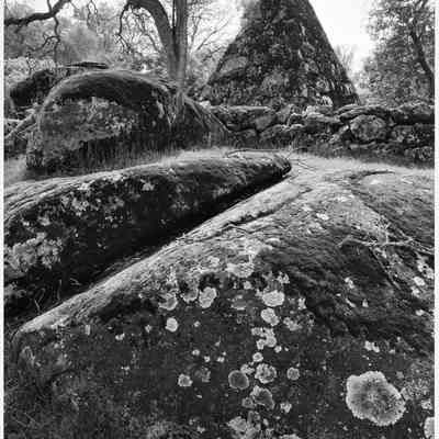 Whitney Tomb and Rock