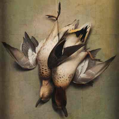 Game Birds