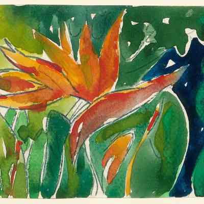 Untitled (Bird of Paradise)