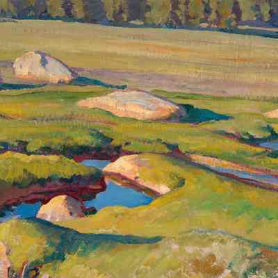 Glacial Meadow (Tuolumne Meadows)