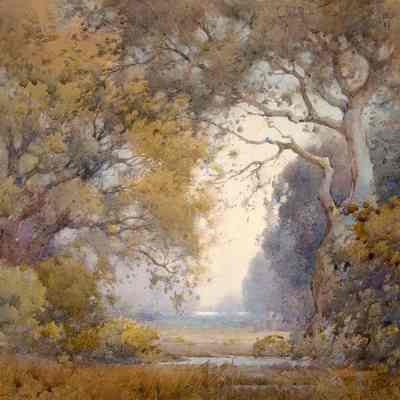 Oaks and Fog