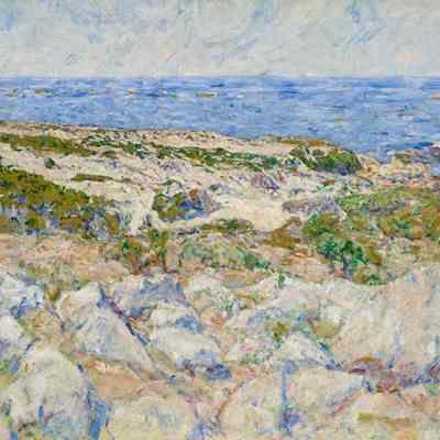 Sand Dunes in Monterey
