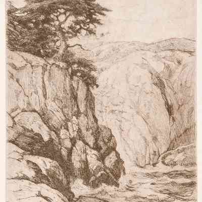 Point Lobos, California