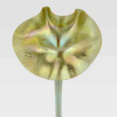 Jack-In-Pulpit Vase