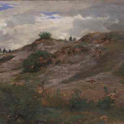 Landscape