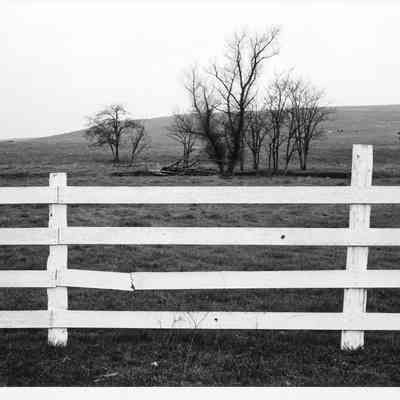 White Fence, Distant Trees