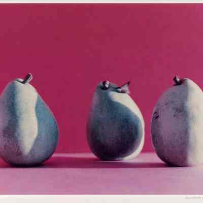 Three Green Pears with Leaf