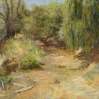 Clearing by a Willow, San Rafael
