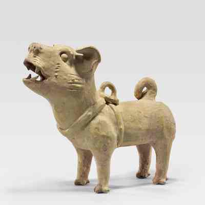 Standing Dog