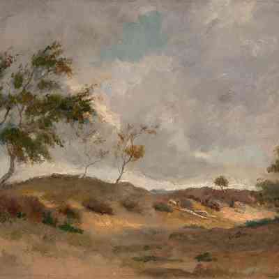 Heath Landscape