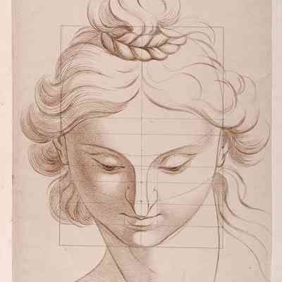 Study of a Head