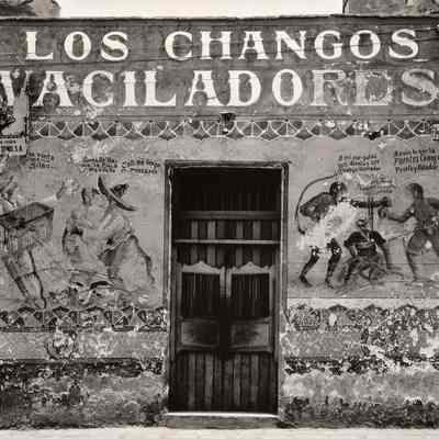 Los Changos Vaciladores (The Playful Monkeys)