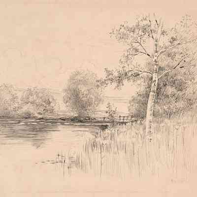 Pond with Birch