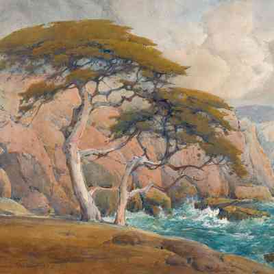 Cypress Trees Near Point Lobos