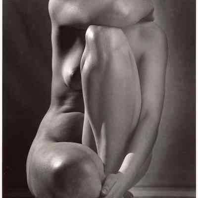 Classic Torso