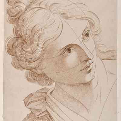 Ideal Female Head