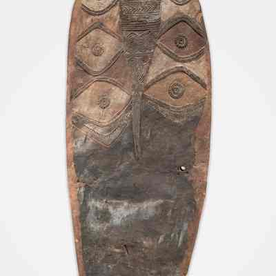 Shield