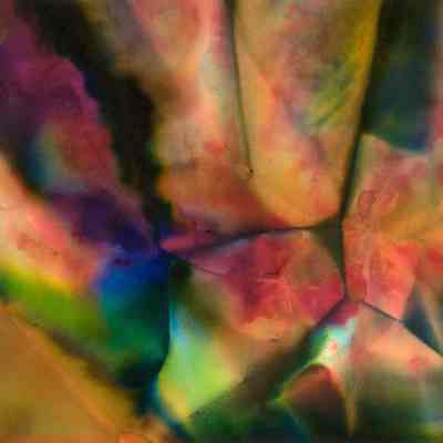 Untitled Abstract