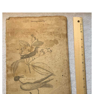 Samuel Rush 1827 School Manuscript: Twenty-eight-page high-resolution PDF of schoolwork completed by Samuel Rush detailing the meticulous, disciplined, and structured manner in which mathematics were once taught.  The elegant combination of penmanship and logic are truly amazing.