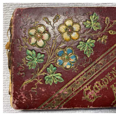 1892-1895 Anna Werger Autograph Album
