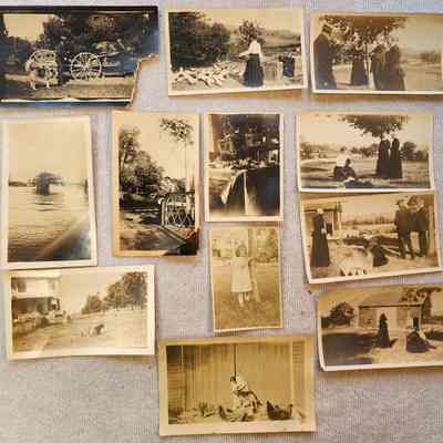 Apparent Family Group 5D: Assumed to be related to Family Group 5A because they mention someone named Phoebe and/or Earle and feature similar animals.  The 2nd photo from the top in the left column is dated "Xmas 1913."  The lower center photo also mentions Aunt Mary.