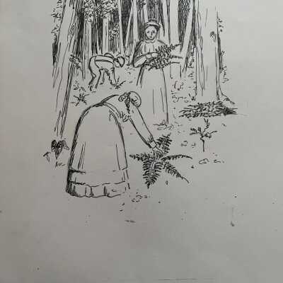 Picking ferns, sketch by Marlene Skaarland, undated.