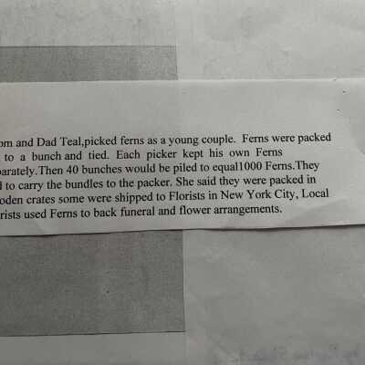 Story of pickng ferns, source and date unknown.