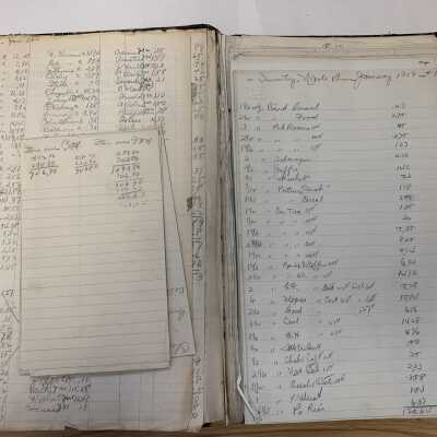 A. W. Robins & Co. Journal - Example page 3: Appears to list charges on the left and inventories on the right as of January of 1919.