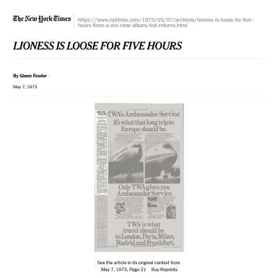 Lioness Loose for Five Hours: PDF of an online copy of a May 7, 1973, New York Times newspaper article regarding the escape and safe recapture of a lioness from the Fox Zoo in Sand Lake, NY.  Related to the article in Page Protector 10.