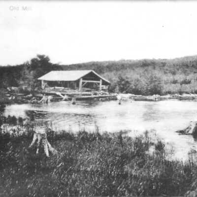 09
